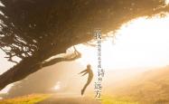 开云体育登录-一秒钟的永恒，托纳利压哨绝杀，葡萄牙在绝境中触摸2026
