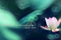 开云体育在线-一球定乾坤，佩德里导演丝绒革命，斯洛伐克用一场胜利重写新大陆的足球叙事