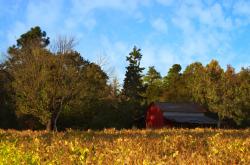 开云体育登录-龙啸与北欧冷锋，当不败神话被那跨越十年的回响击穿