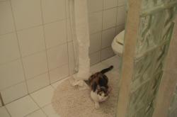 开云sport-矛已利，盾何存？努涅斯无解刀锋下，阿森纳为全欧标定乌克兰战场强度