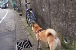 开云体育app-快与重的交响，库里箭雨破盾，雷霆铁蹄踏林