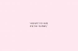 开云sport-佩德里的棋局，当土耳其蓝红遇上克罗地亚格子，一场被定义的中场独奏