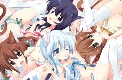 开云体育APP下载-右路铁骑与金戈铁马，当阿什拉夫的利刃刺向土耳其，谁才是真正的帕夏？