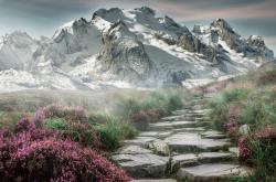 开云体育app-1.4秒闪电战，哥斯达黎加如何用一粒超速进球，撞塌希腊神话？