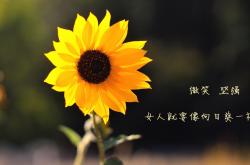 开云体育在线-锁与钥匙，当铁血防守遇见撕裂长空的钥匙匠