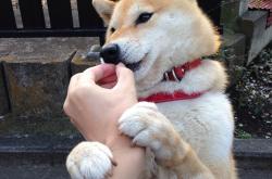 开云体育平台APP-当宇宙坍塌于独行侠的指尖，辽篮之夜与库里数据背后的唯一性哲学