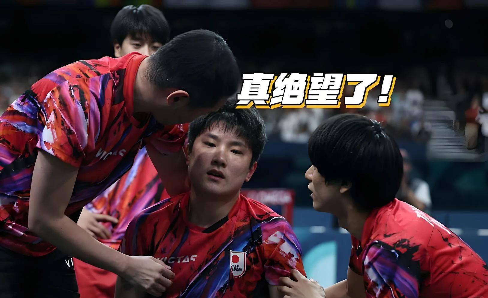 比利时乒乓球队险胜英国乒乓球队,张本智和绝境逆转 比利时乒乓球队险胜英国乒乓球队,张本智和绝境逆转