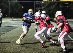 关于橄榄球赔率刷新纪录，竞猜热度飙升的信息