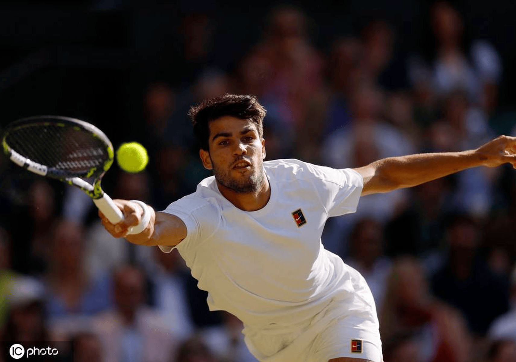 戴维斯杯横扫温网，阿尔卡拉斯点燃赛场的简单介绍