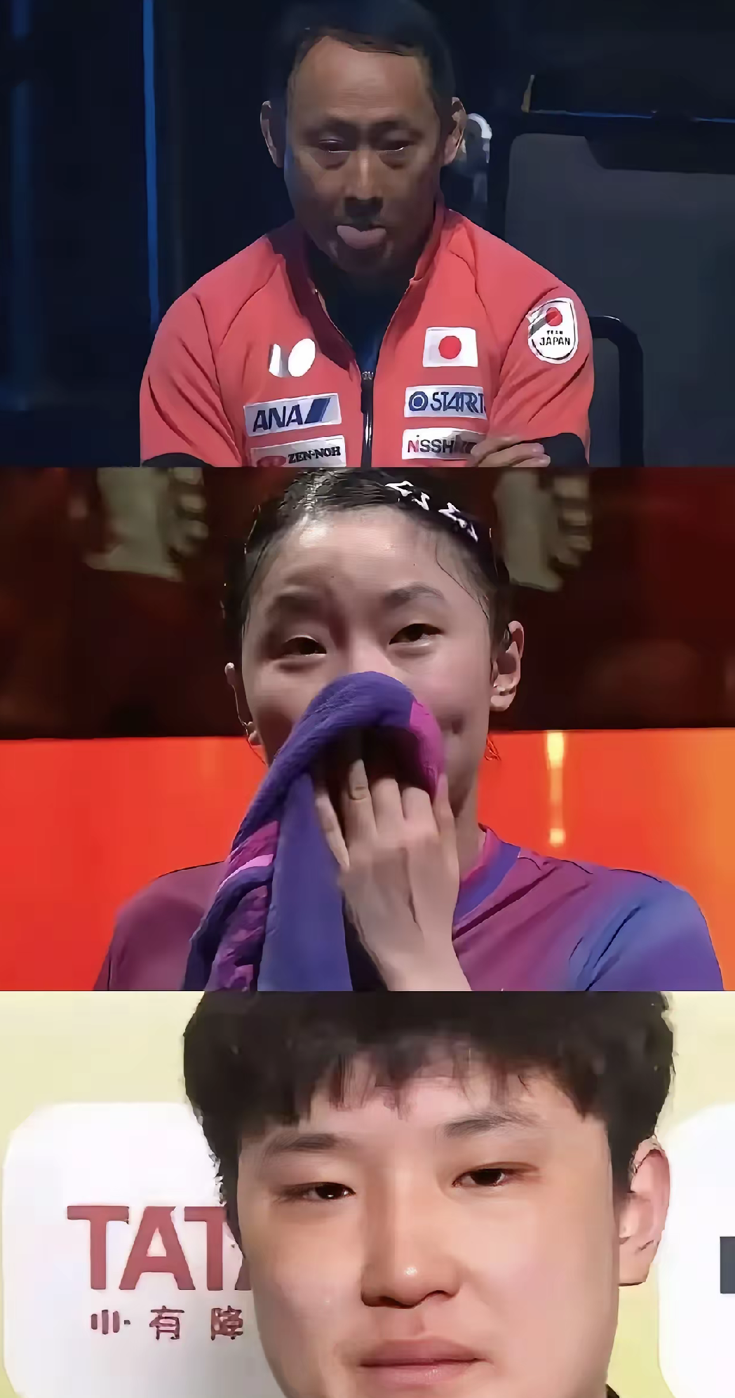 韩国队横扫法国队，张本智和带队取胜