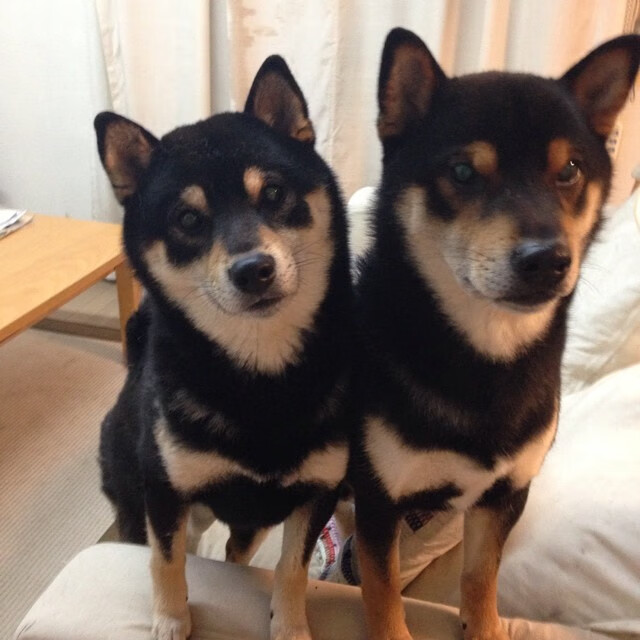 亚洲新章，泰国利齿碾碎丹麦童话，李梓嘉的孤星在团队废墟上闪耀