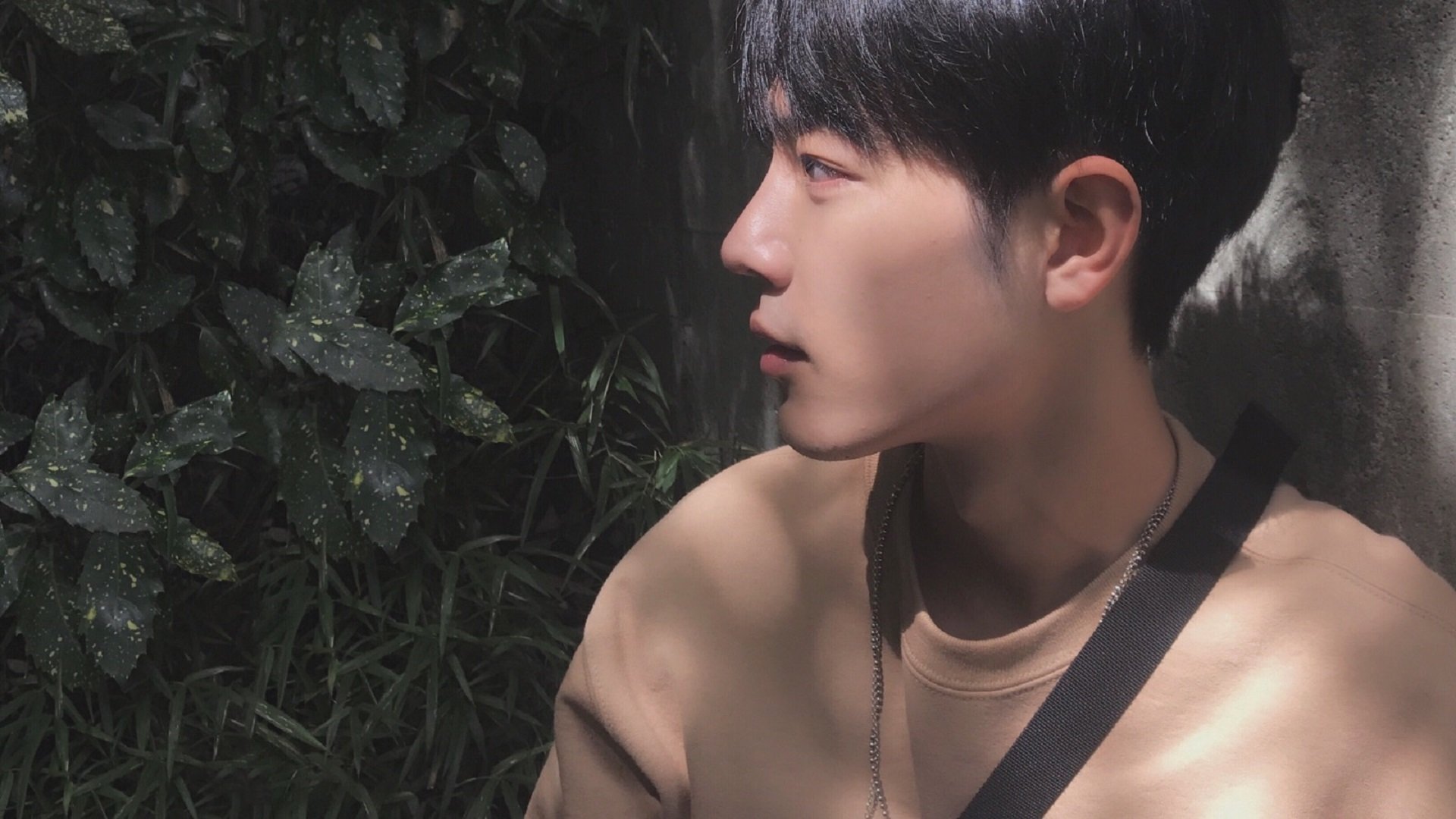 以下克上的艺术！广厦队用觉醒的獠牙撕破雄鹿防线，贝恩完成关键先生蜕变