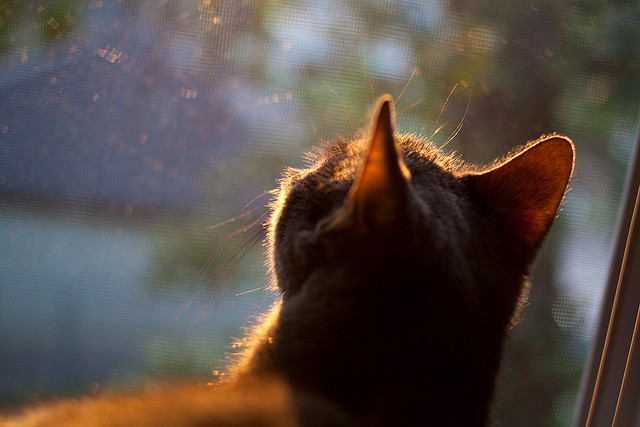 格纳布里一锤定音!加纳友谊赛力克雷恩,拜仁尖刀化身关键先生