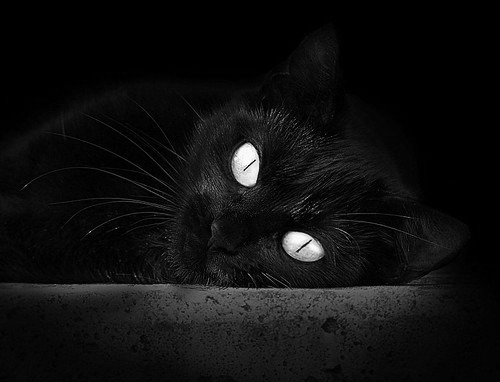 小国智慧的逆袭，洪都拉斯如何用末节战术征服亚特兰大