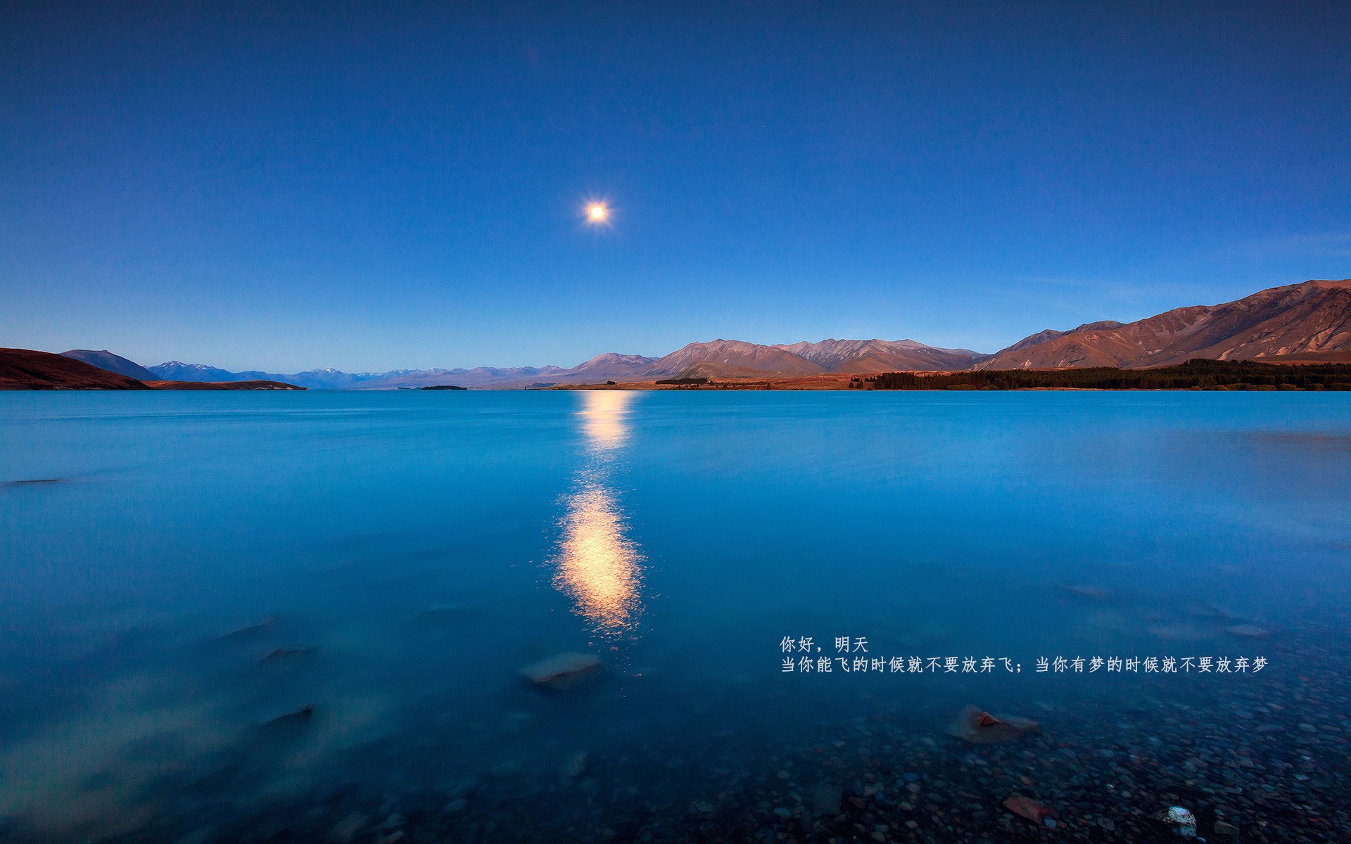 1.4秒闪电战，哥斯达黎加如何用一粒超速进球，撞塌希腊神话？