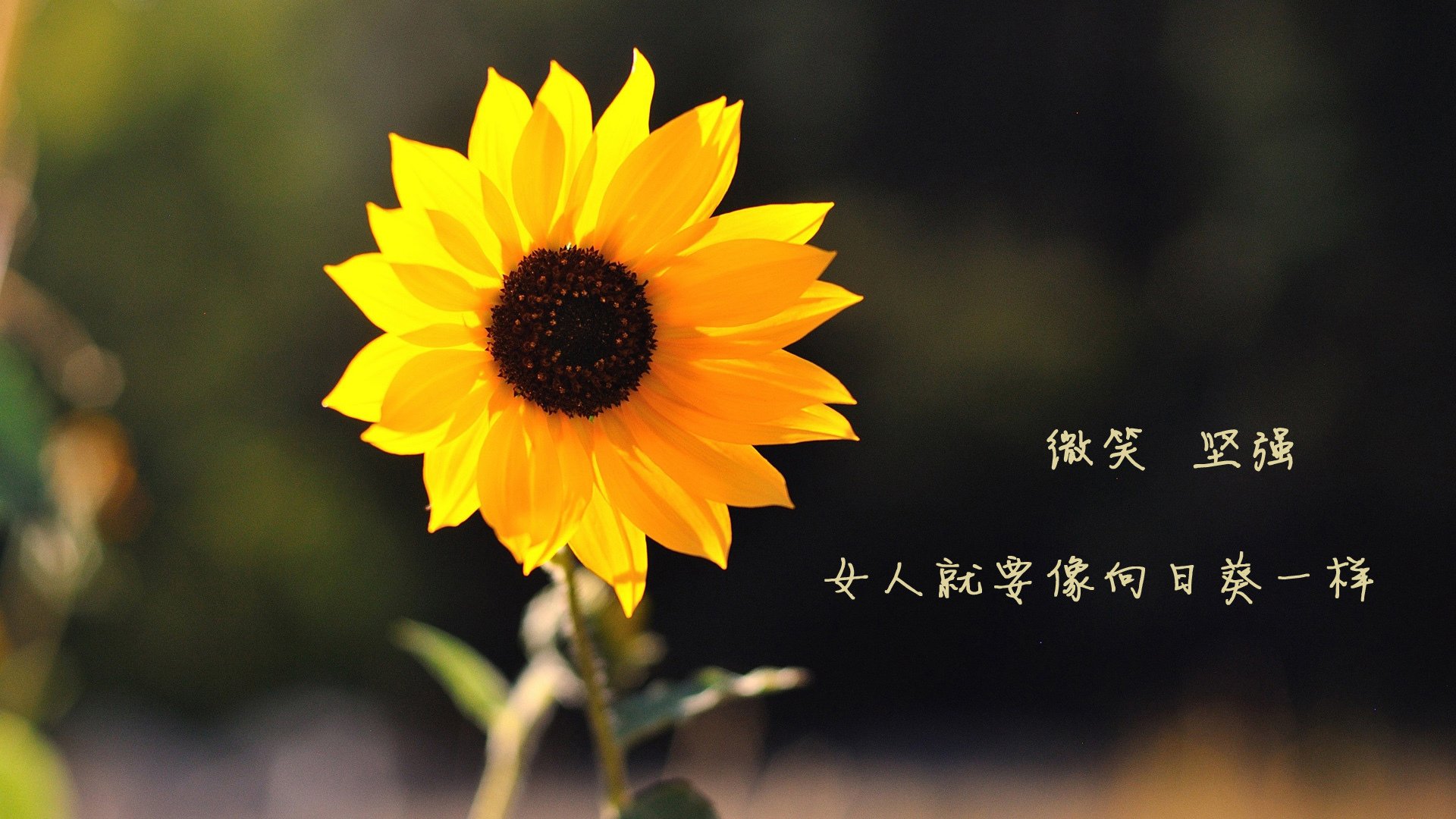 锁与钥匙，当铁血防守遇见撕裂长空的钥匙匠