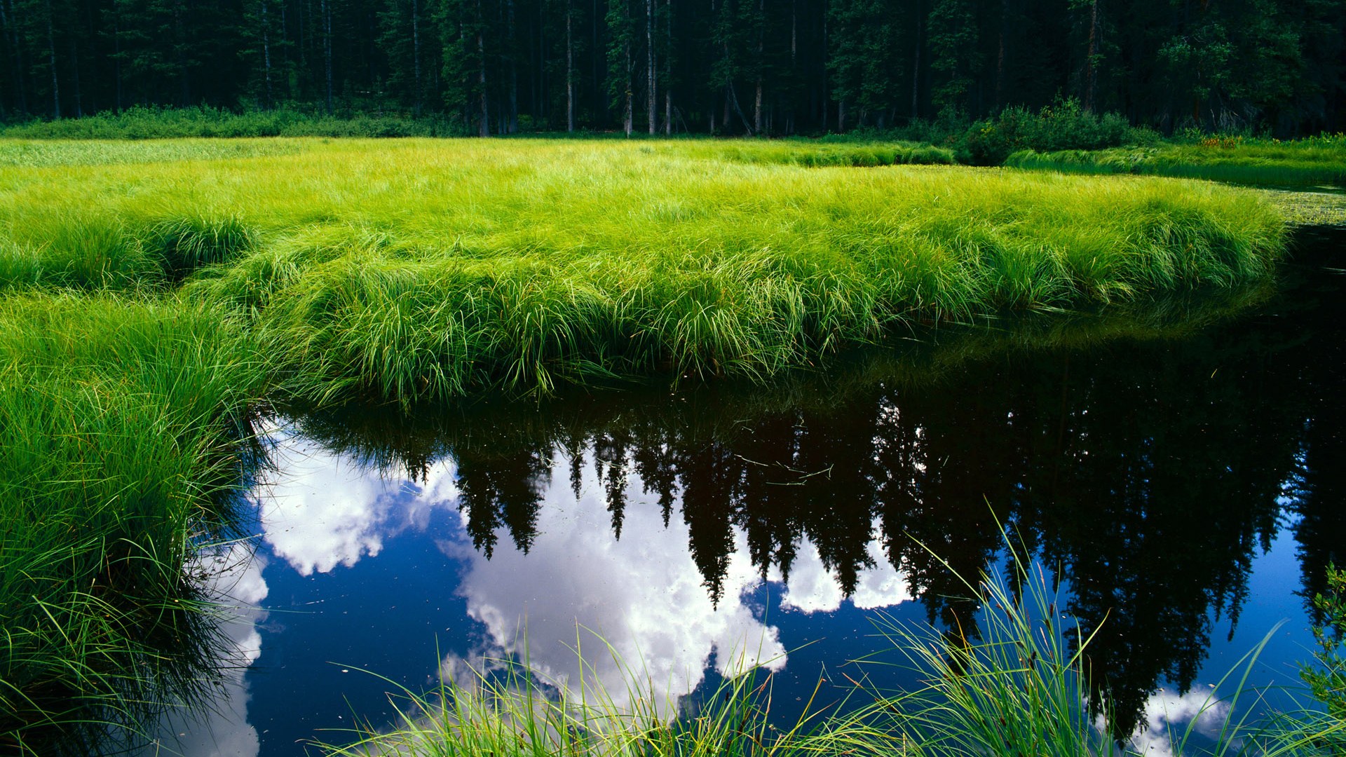 唯一性的诠释,若日尼奥自我救赎,冰岛掀翻贝蒂斯