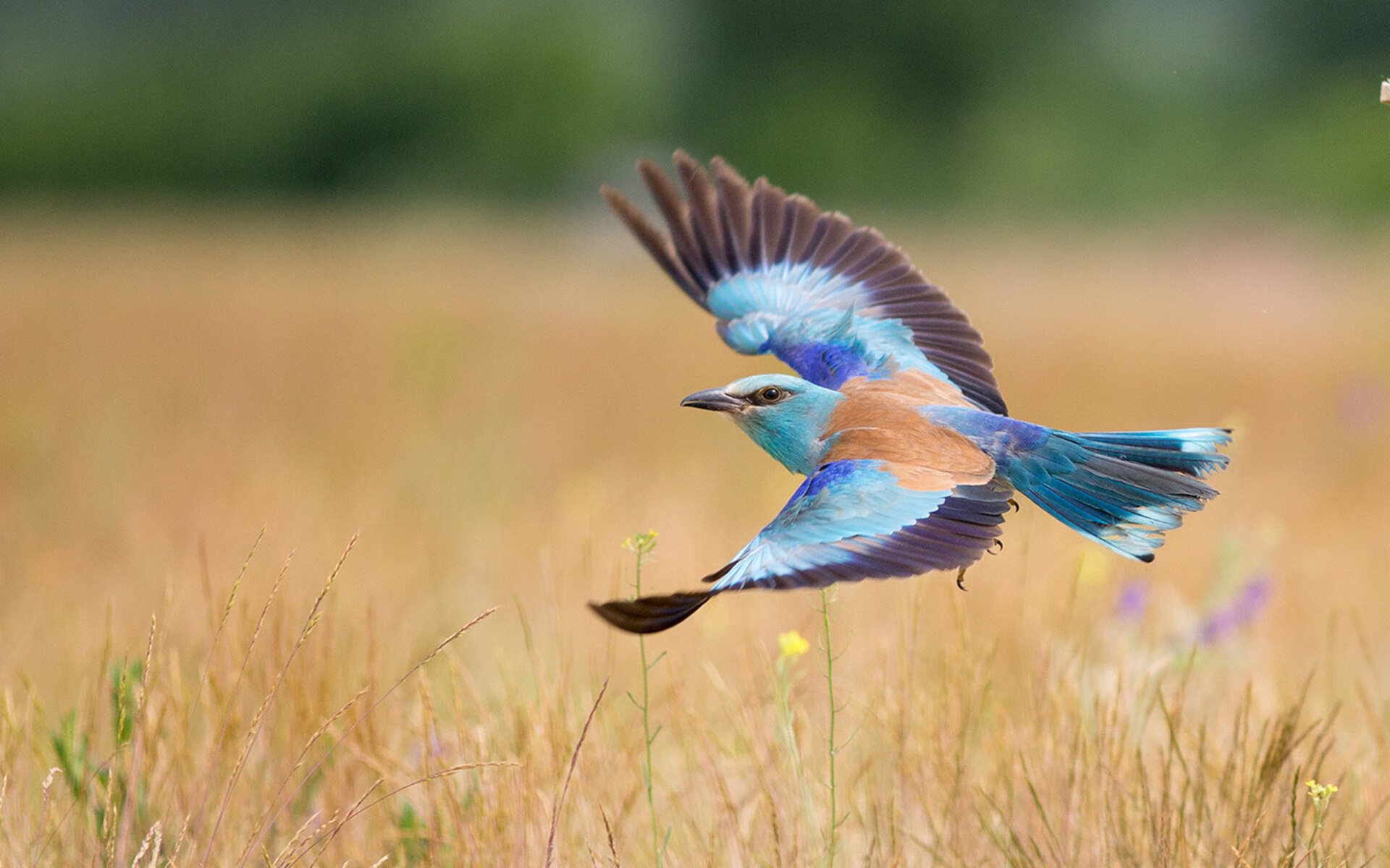 当CBA的水花溅入浙江,山西用广厦式封锁致敬克莱传奇