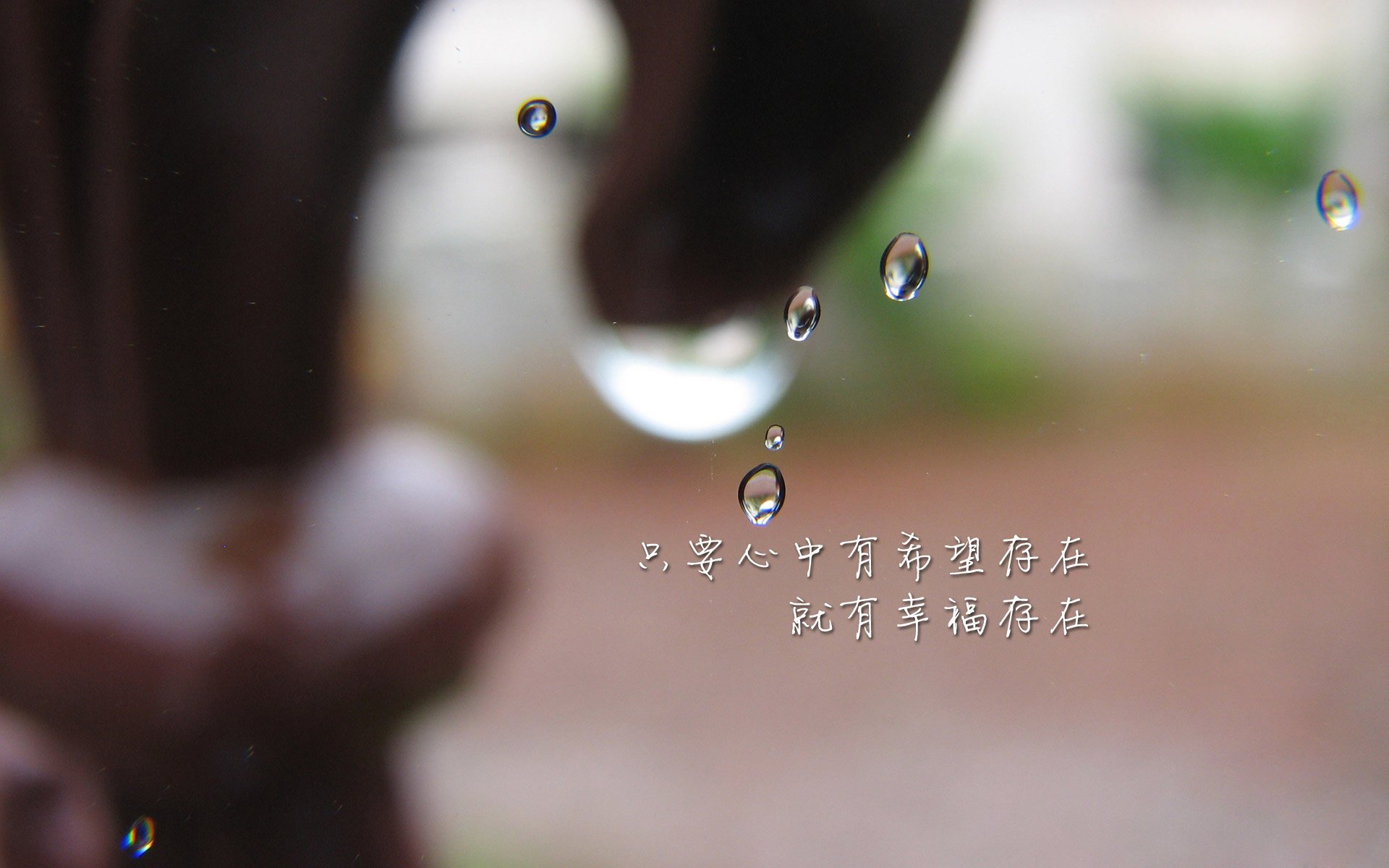 赤道闪电撕裂非洲雄狮,2026世界杯B组焦点战,厄瓜多尔横扫喀麦隆,苏亚雷斯以一人之力定义比赛
