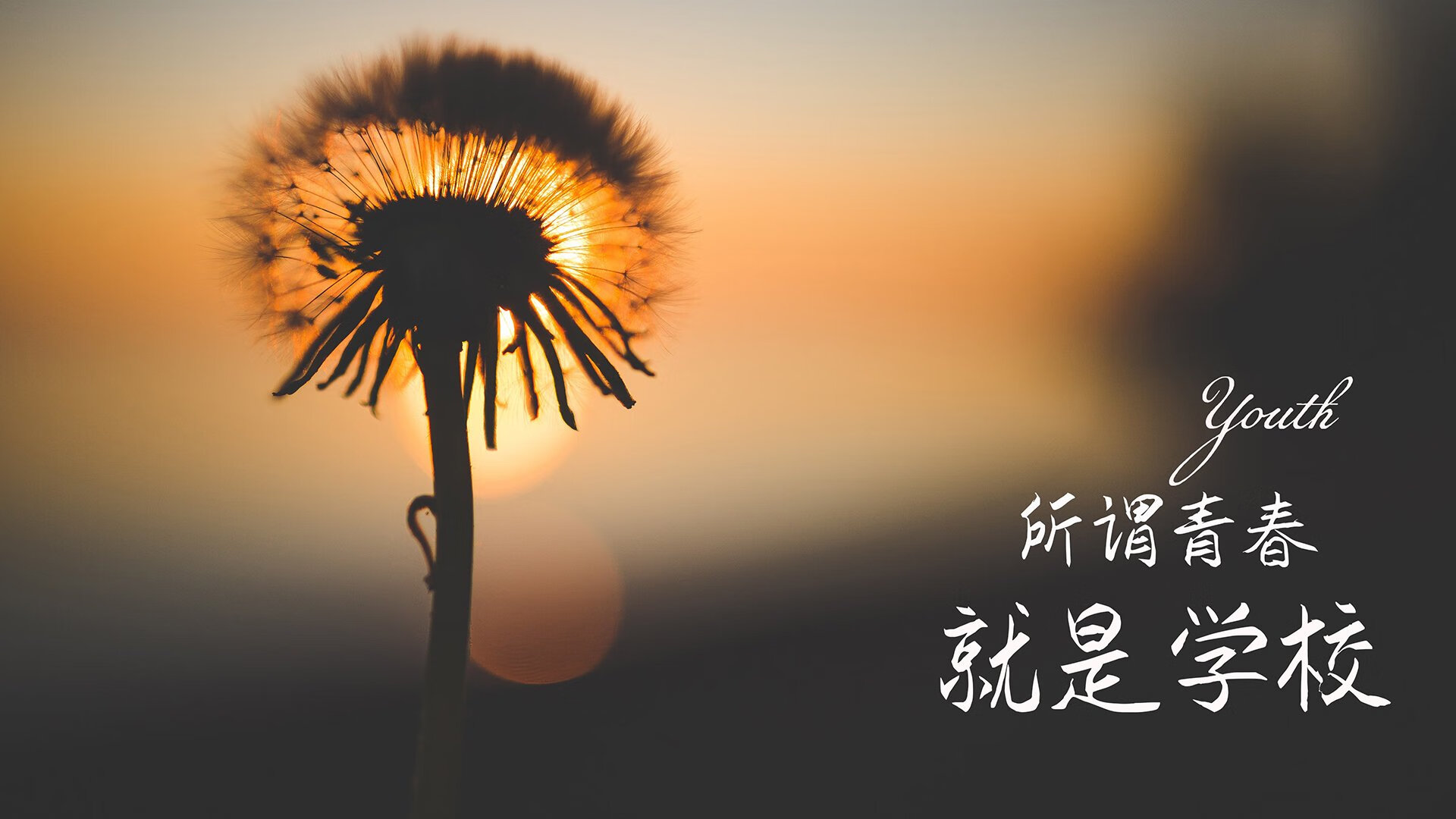 这是一篇以唯一性为核心创作的深度分析文章