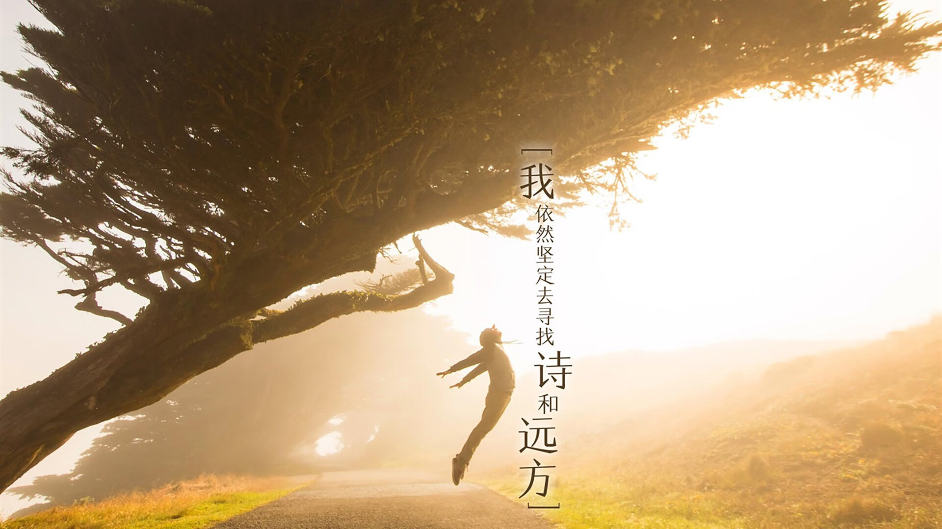 孤星闪耀—2026世界杯D组焦点战，孙兴慜以唯一方式定义罗马尼亚完胜厄瓜多尔