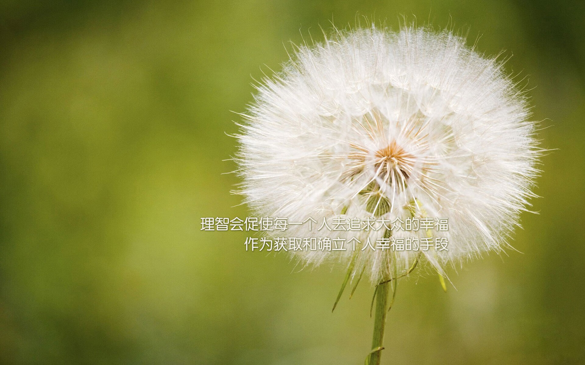 沙漠之城的冷与热,当迪亚斯的左腿划过横滨的夜,C组秩序在喀麦隆面前崩塌